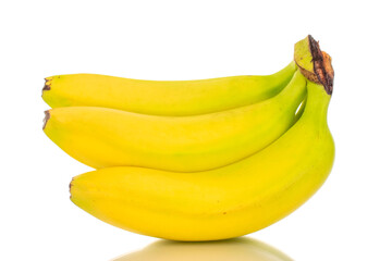 Several ripe bright yellow bananas, macro, isolated on white background.