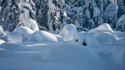 Winter of the Totenaasen Hills, Oppland, Norway.