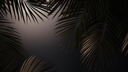 Shadow effect with shadow overlaid on palm leaf background.
