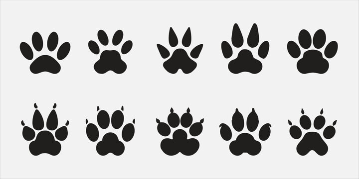 Set of silhouettes of animal paws, paws with claw, vector eps, 