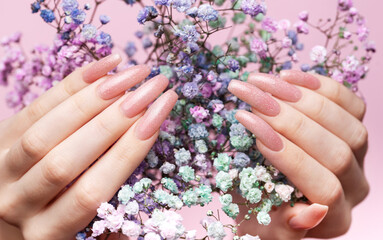 Female hands with pink nail design  hold gypsophila flowers.