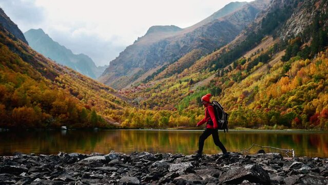 a tourist walks with a backpack along the shore of the Baduk mountain lake, the autumn yellow forest in the Dombai mountains
