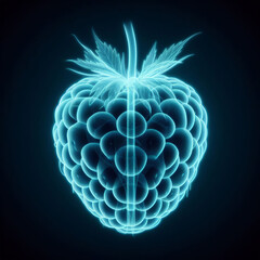3d rendered illustration of a raspberry in x-ray.