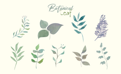 Botanic leaf set Hand painting Water Color