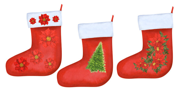 Watercolor Christmas red and white stockings for gifts with winter design of red poinsettia, holly and Christmas tree for invitations, post cards, posters, frames and banners for Christmas, New Year