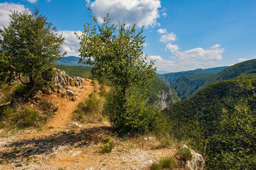 Fototapeta na wymiar The summer landscape in the hills overlooking Martin Brod, Bihac, in the Una National Park. Una-Sana Canton, Federation of Bosnia and Herzegovina. Early September