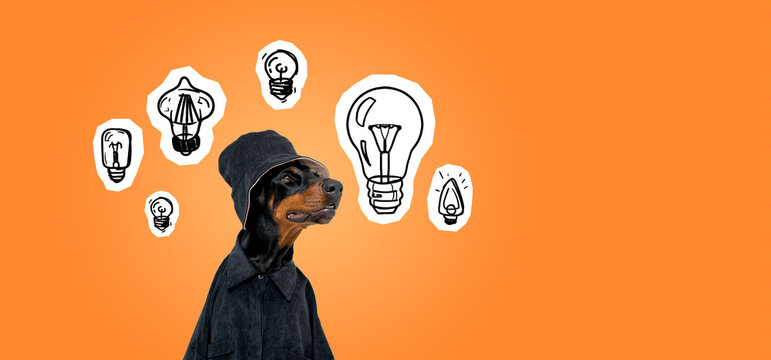Dobermann in bucket hat with set of lightbulbs on orange background