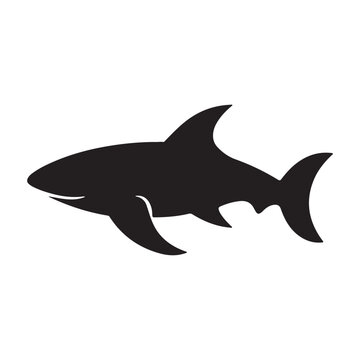A black Silhouette shark animal
