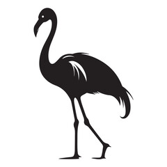 A black Silhouette flamingo animal 