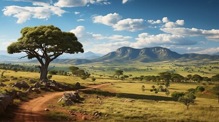 African savanna with a mountain in a national wildli