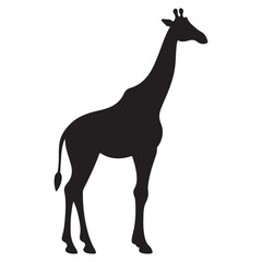 A black Silhouette giraffe animal 
