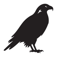 A black Silhouette hawk animal