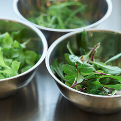 bowl of fresh green salad