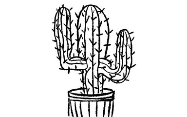 cactus 