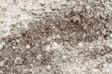 the soil is sprinkled with dolomite flour
