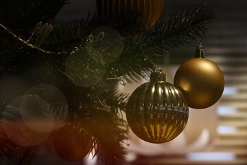 Christmas ornament hanging on pine tree.