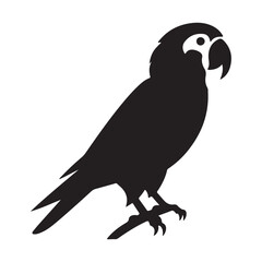A black Silhouette parrot animal vactor
