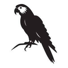 A black Silhouette parrot animal vactor
