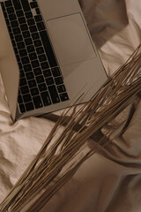 Working at home concept. Laptop computer, dried grass in bed with crumpled tan beige linen cloth. Minimalist workspace background with aesthetic sunlight shadows. Relaxing and working