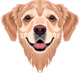 Poster Im Rahmen Dog frontal view, vector isolated animal. © ddraw