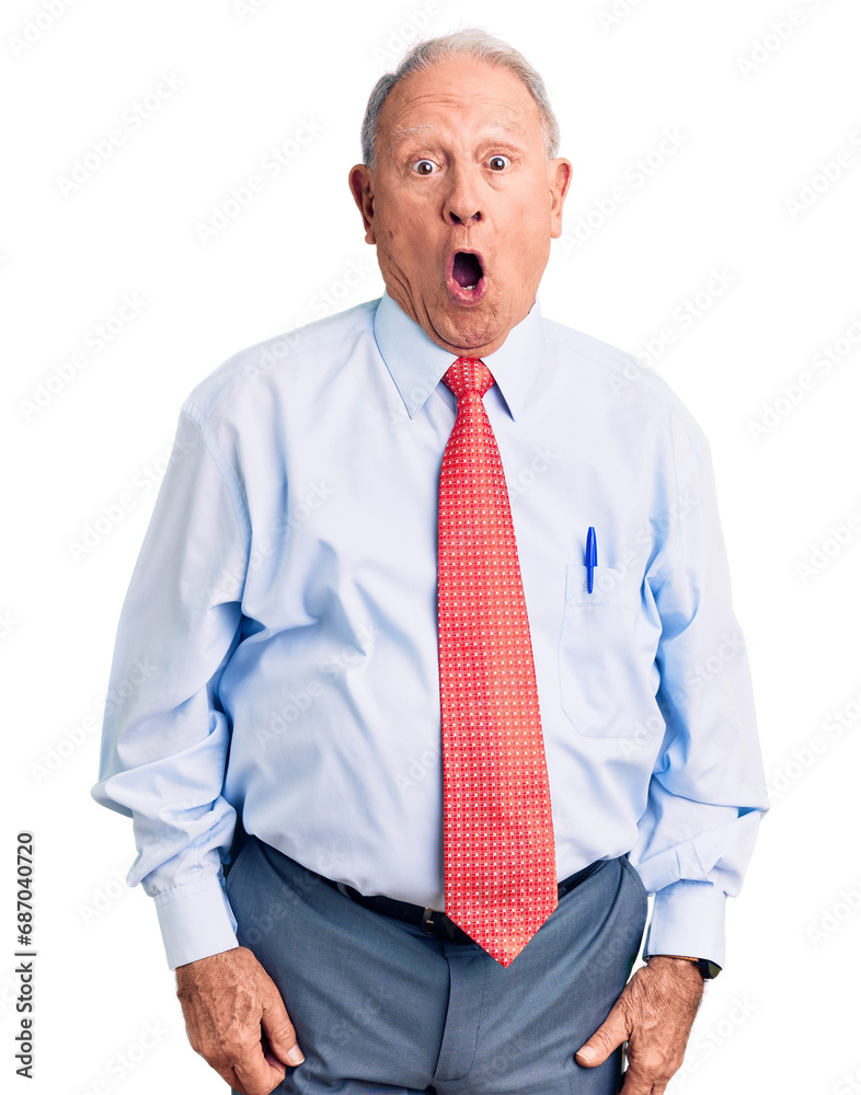 Poster senior handsome grey-haired man wearing elegant tie and shirt afraid and shocked with surprise expre