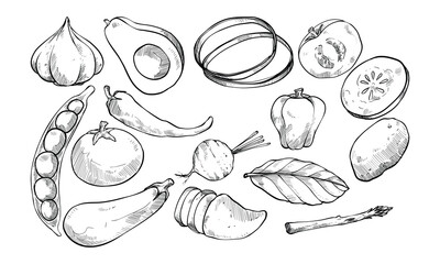 fruits handdrawn collection