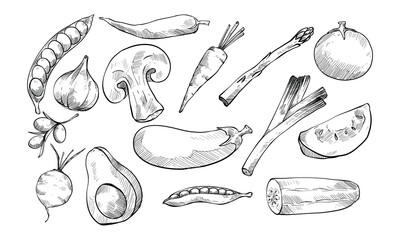 ingredient vegetable handdrawn collection
