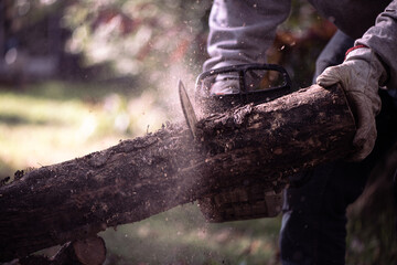 Cutting wood into logs for the fire, with an electric chainsaw