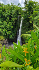 Waterfall on the island of Samoa 