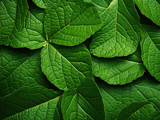 Fototapeta premium Leaves leaf texture green organic background macro layout closeu. Generative Ai