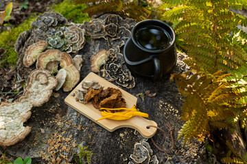 Mushroom coffee superfood. mushroom coffee with Turkey’s tail, Trametes versicolor mushrooms. A...