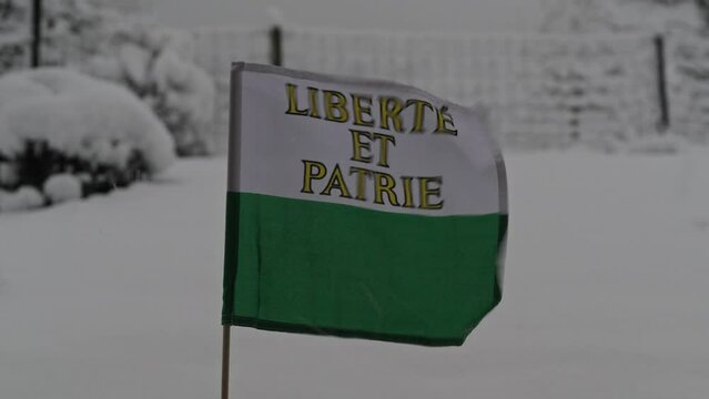 Flag ow Swiss Canton of Vaud waving outdoors in garden on a snowy autumn morning. Slow motion movie shot December 2nd, 2023, Zurich, Switzerland.