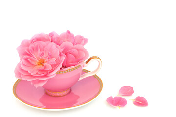Pink rose flowers in tea cup with petals on white. Surreal fun food composition. Flowers have...