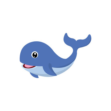 cute baby whale vector graphic