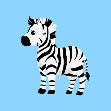 cute baby zebra cartoon vector