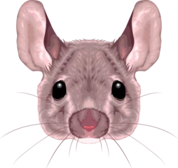 Poster Im Rahmen Mouse frontal view, vector isolated animal. © ddraw