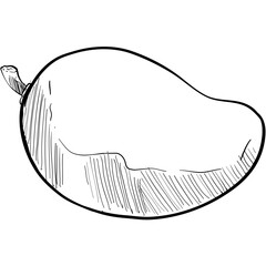 mango handdrawn illustration