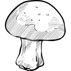 mushroom handdrawn illustration