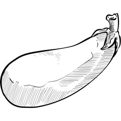 eggplant handdrawn illustration