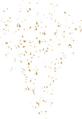 Golden Festive Confetti