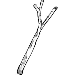 wood handdrawn illustration