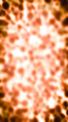 fire background with flames