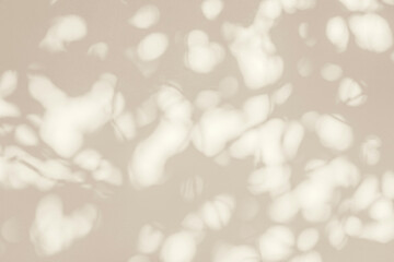 Abstract shadow and light blurred background with light bokeh. Natural gray shadows of leaves tree...