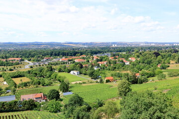 Fototapeta na wymiar view over Dresden from the Pillnitz vineyards