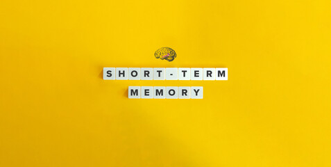 Short-term Memory Text, Banner, and Concept Image. Hippocampus and Human Brain. Block Letter Tiles...