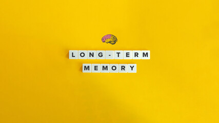 Long-term Memory Text, Banner, and Concept Image. Neocortex and Human Brain. Block Letter Tiles on...
