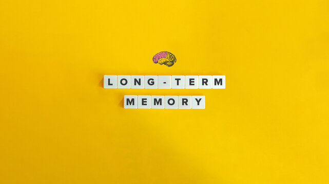 Long-term Memory Text, Banner, and Concept Image. Neocortex and Human Brain. Block Letter Tiles on Yellow Background. Minimalist Aesthetics.