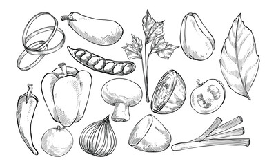 fresh vegetables handdrawn collection