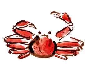 ズワイガニが片方のハサミを上げる和風手描きイラスト