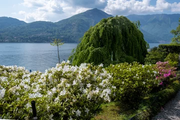 Selbstklebende Fototapeten Lake Como springtime - magnificent flower beds of azaleas flowering. Taken in Tremezzo, Italy Lombardy  © tella0303